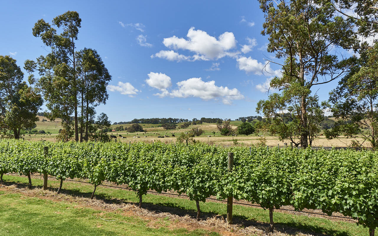 Explore Ferguson Valley Highlights Visit Bunbury Geographe